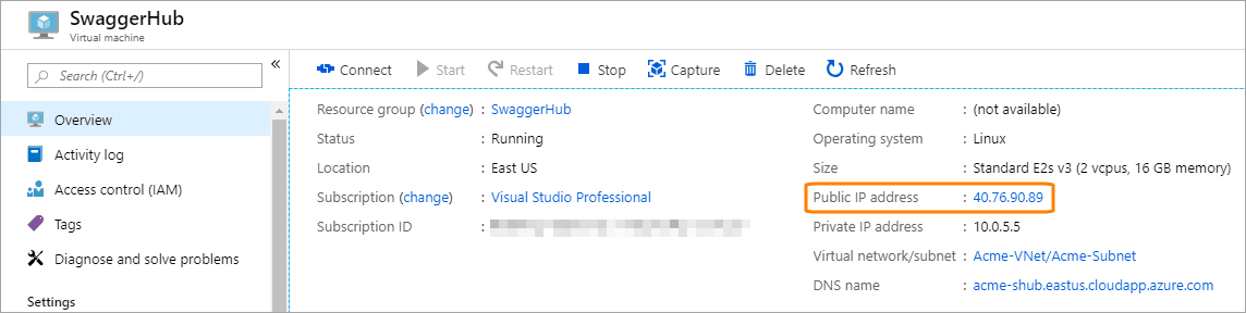 The public IP address of the SwaggerHub VM